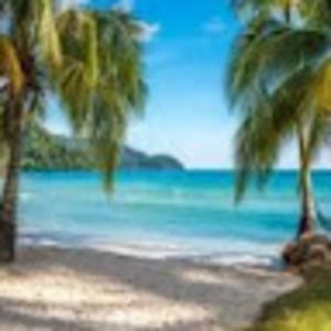 Meet your Posher, Tracey